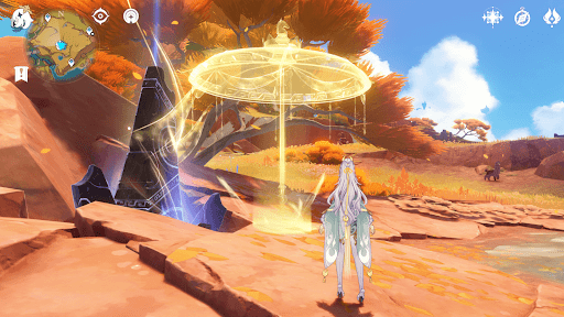 青玄陽華の華笠