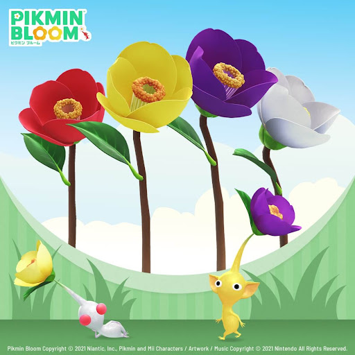 黄色と青色のつばき