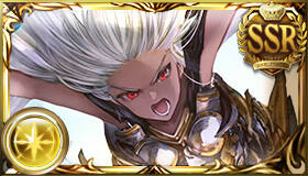 ジ・オーダー・グランデ_横