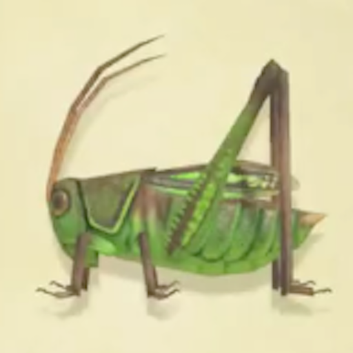 キリギリスの値段と捕まえるコツ