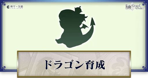 fgo-ドラゴン育成