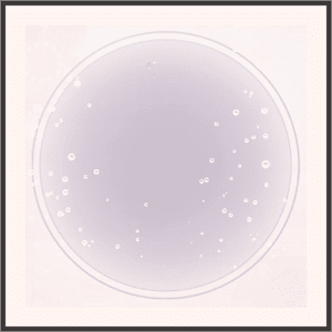 マーメイドバブル★アリエル