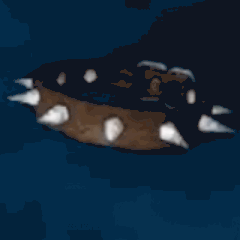 ARK_トゲ付き首輪