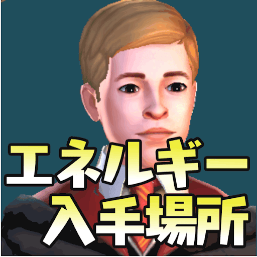 エネルギー入手場所