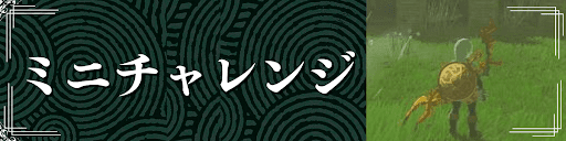 ティアキンのミニチャレンジ