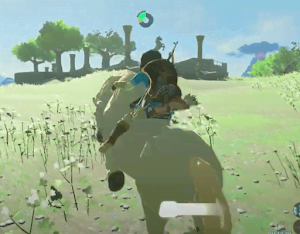 ゼルダBotW＿馬の捕まえ方