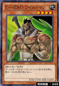 E・HEROワイルドマン