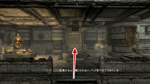 博物館内で珍しい石を入手