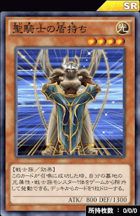 聖騎士の盾持ち