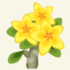 きいろいプルメリア