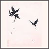 群れ飛ぶ鴉
