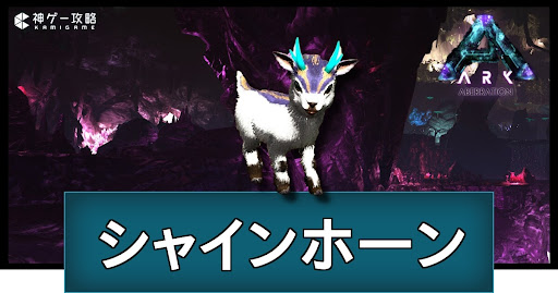 シャインホーン