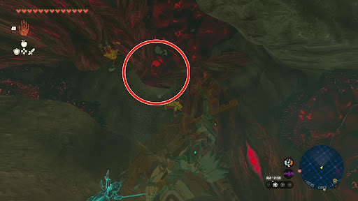 ガノンドロフ_⑥壁を上った先の道