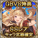 SSレアキャラ武器確定チケット