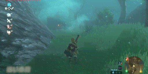 BotW_迷いの森に入る