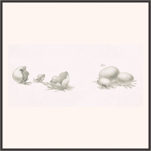 ファヤンゴサウルスの卵