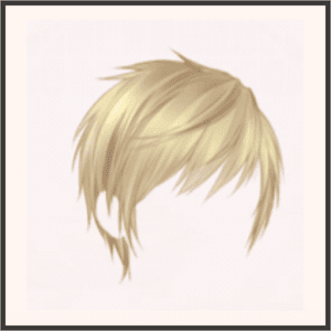 国民的アイドル