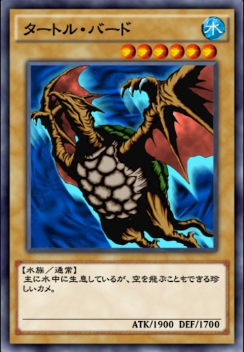 タートル・バード