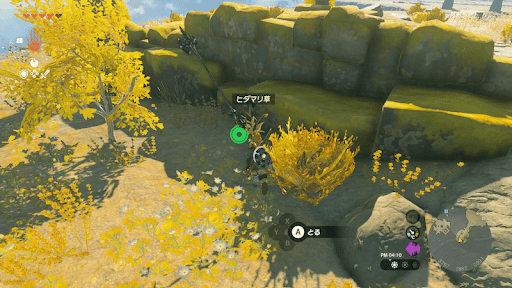 ヒダマリ草は空島や落下遺跡で採取できる