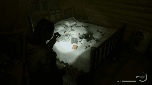 チャームは小屋のベッドの上