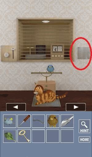 インコ脱出2_赤いインコの入手