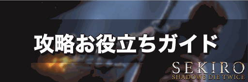 SKEIRO_攻略ガイド