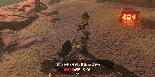 BotW_燃えず薬を買う