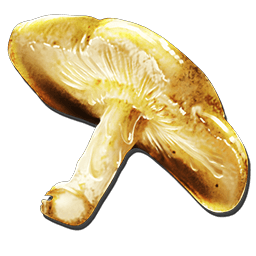 金のマッシュルーム