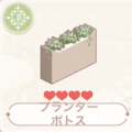 プランターポトス
