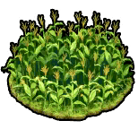 fgo-大いなる太陽の恵み