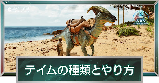 テイムの種類とやり方