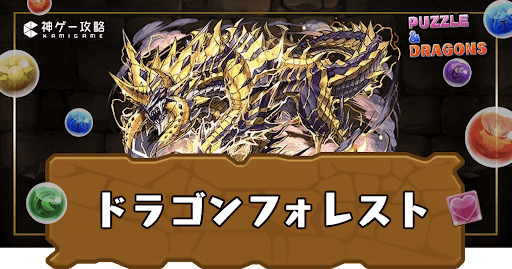 ドラゴンフォレスト