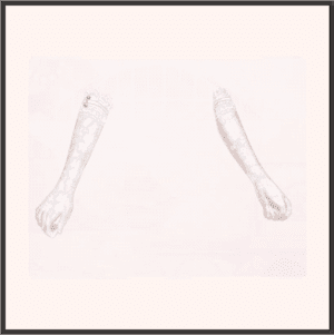 白骨の艶めき-昼