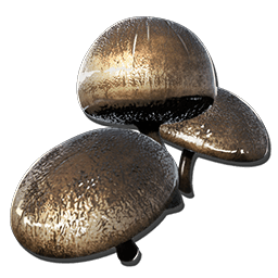 アガーラビック・マッシュルーム