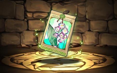 スズランの種子