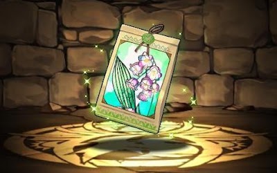 スズランの種子