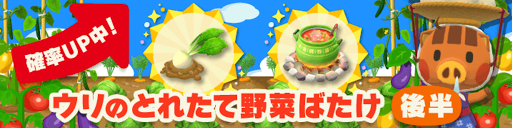 ウリのとれたて野菜ばたけ