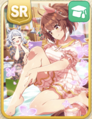 ダンツフレームSR［ぬりぬりシェイプアップ！］