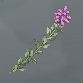 セイタカトーン