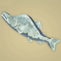 凍結マックスサーモン