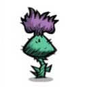 ブリッスルブロッサム