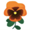 オレンジのパンジー
