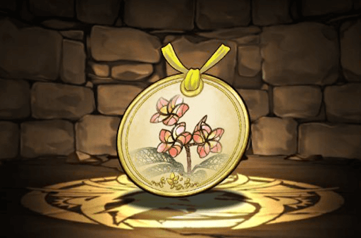 プルメリアの標本