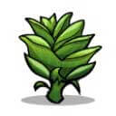 バディのつぼみ