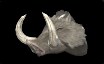 ファンゴXフェイク