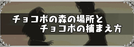  チョコボの森の場所とチョコボの捕まえ方