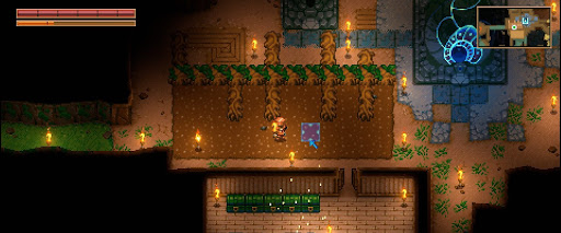 根っこの種を植えよう