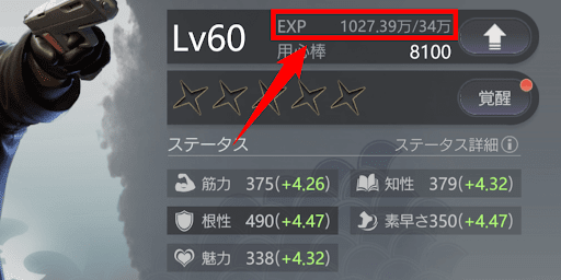 仲間のレベル上げに使う