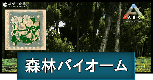 森林バイオーム