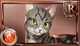 猫（火）